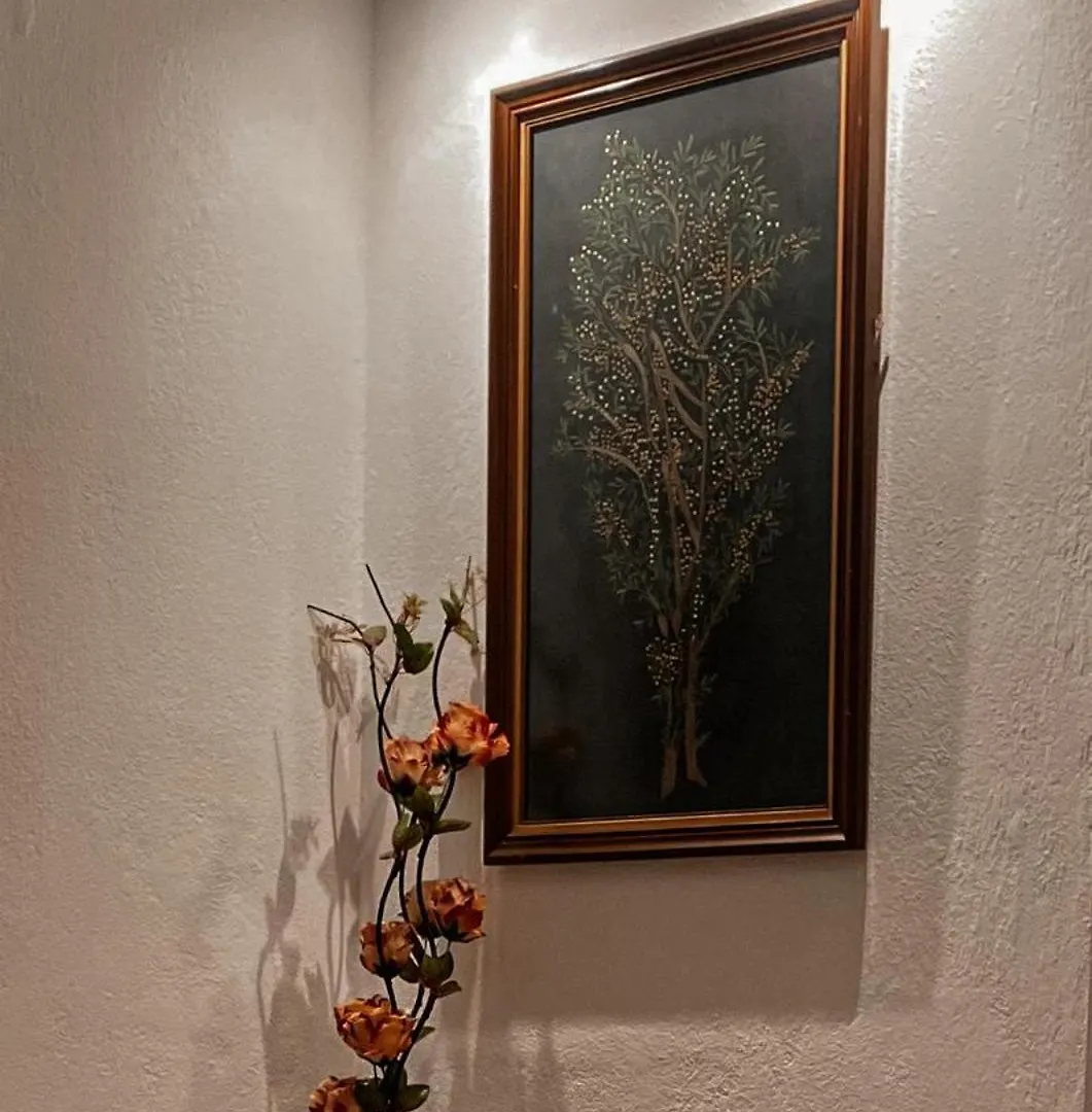 Guest House Juald Gjirokaster 0*,